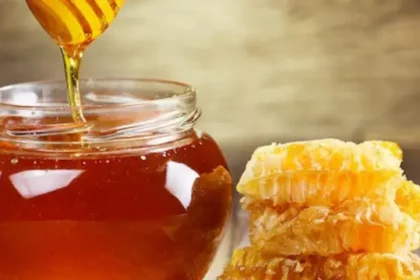 هل العسل يرفع المناعة