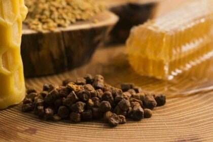 فوائد العكبر لصحة الكلى