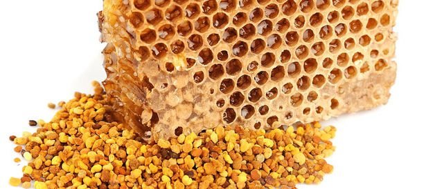 أقوى بروتين طبيعي