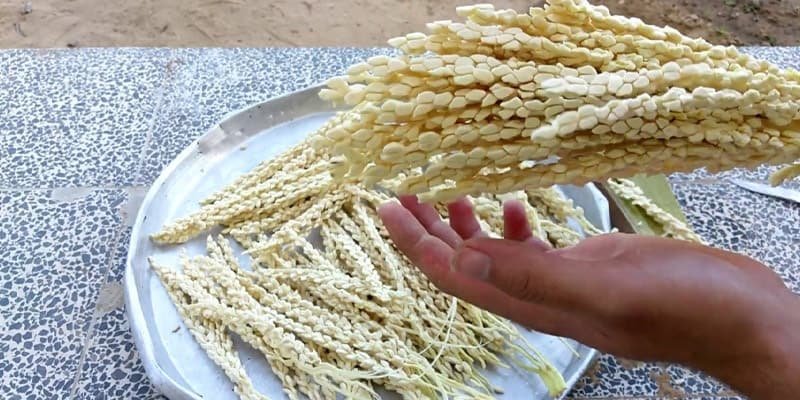 فوائد طلع النخل للتبويض فوائد طلع النخل للتبويض