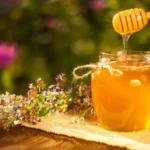 اهمية عسل السدر الجبلي