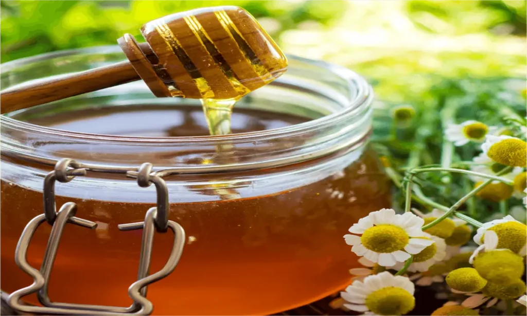 عسل سدر عضوي عسل سدر عضوي