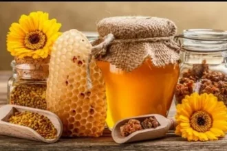 زيادة الحيوانات الذكرية عند الرجل بالعسل