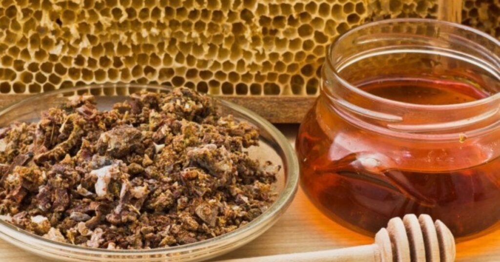 فوائد العكبر للمعدة والقولون