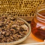 هل العكبر يرفع السكر