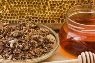 هل العكبر يرفع السكر