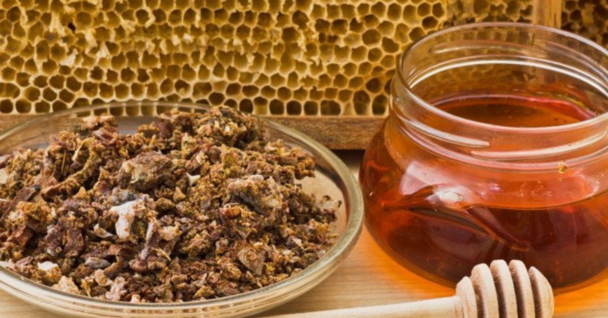 هل العكبر يرفع السكر