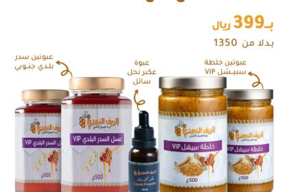 بكج درع الشتاء