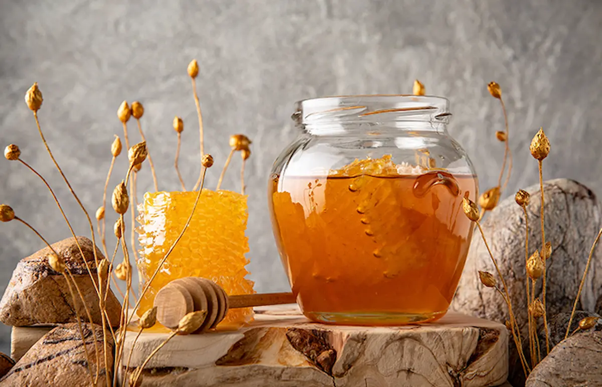 فوائد الأشواجندا للنساء