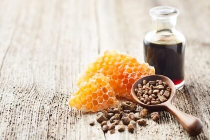 فوائد العكبر لجرثومة المعدة